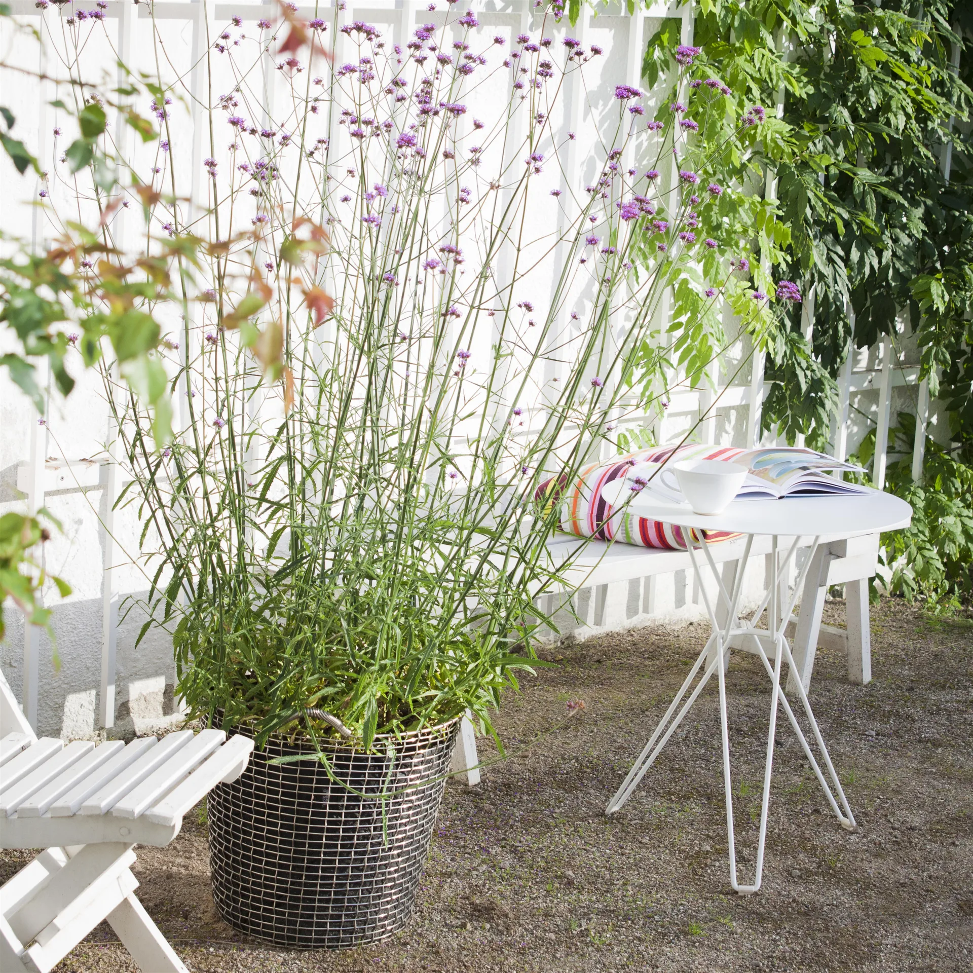 Korbo classic 65, zuurbestendig staal KORBO