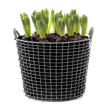 Korbo kunststof plantenzak 3-pack - 24 liter - KORBO