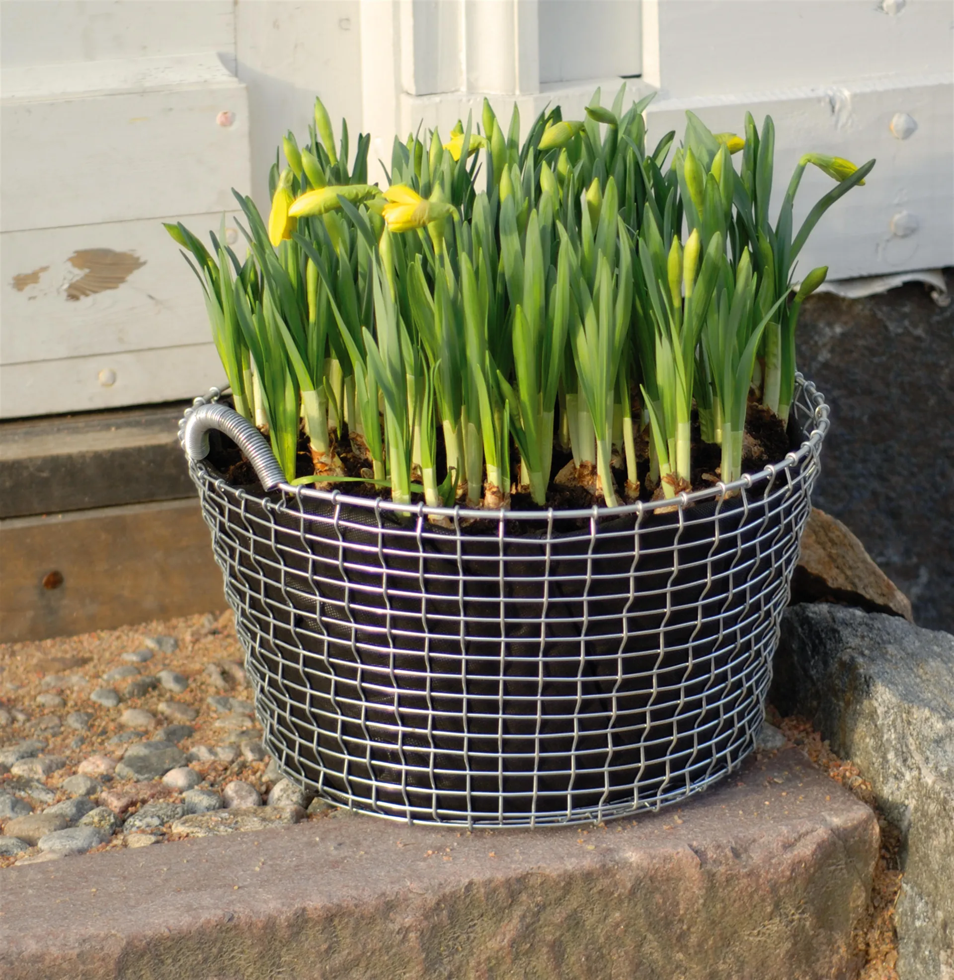 Korbo kunststof plantenzak 3-pack, 24 liter KORBO