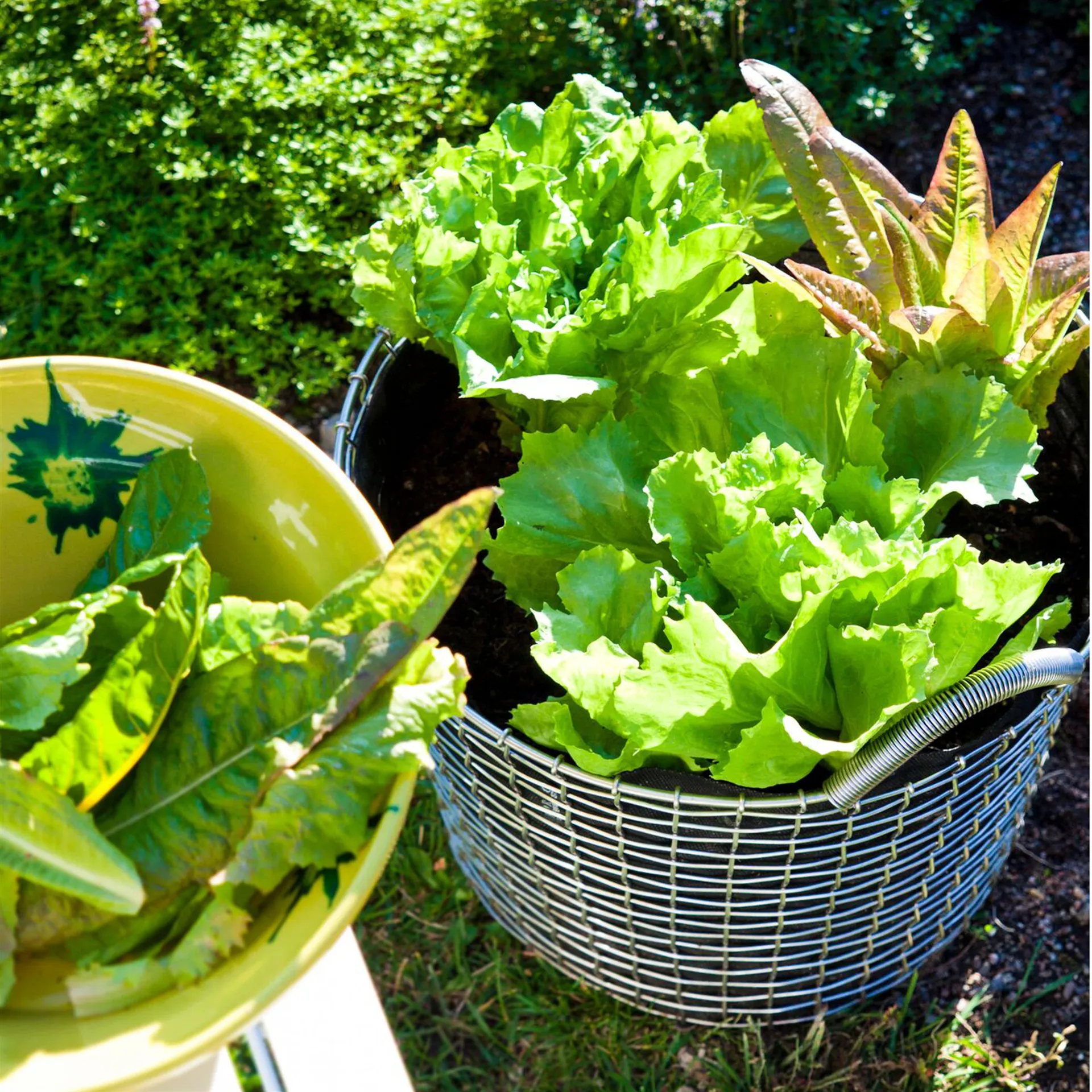 Korbo mand 24, gegalvaniseerd staal KORBO