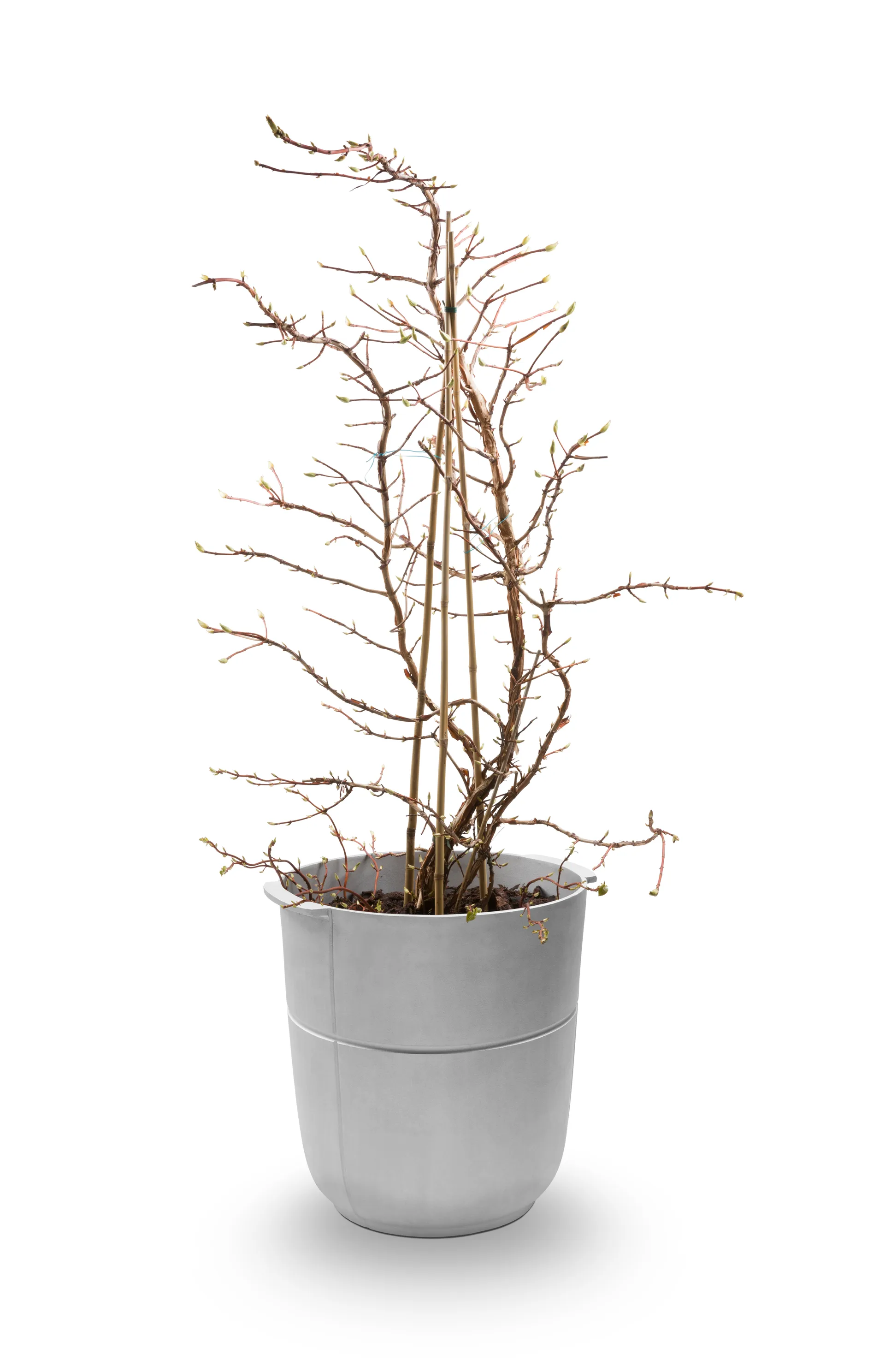 Linea bloempot nr 1 hoog, Aluminium KORBO