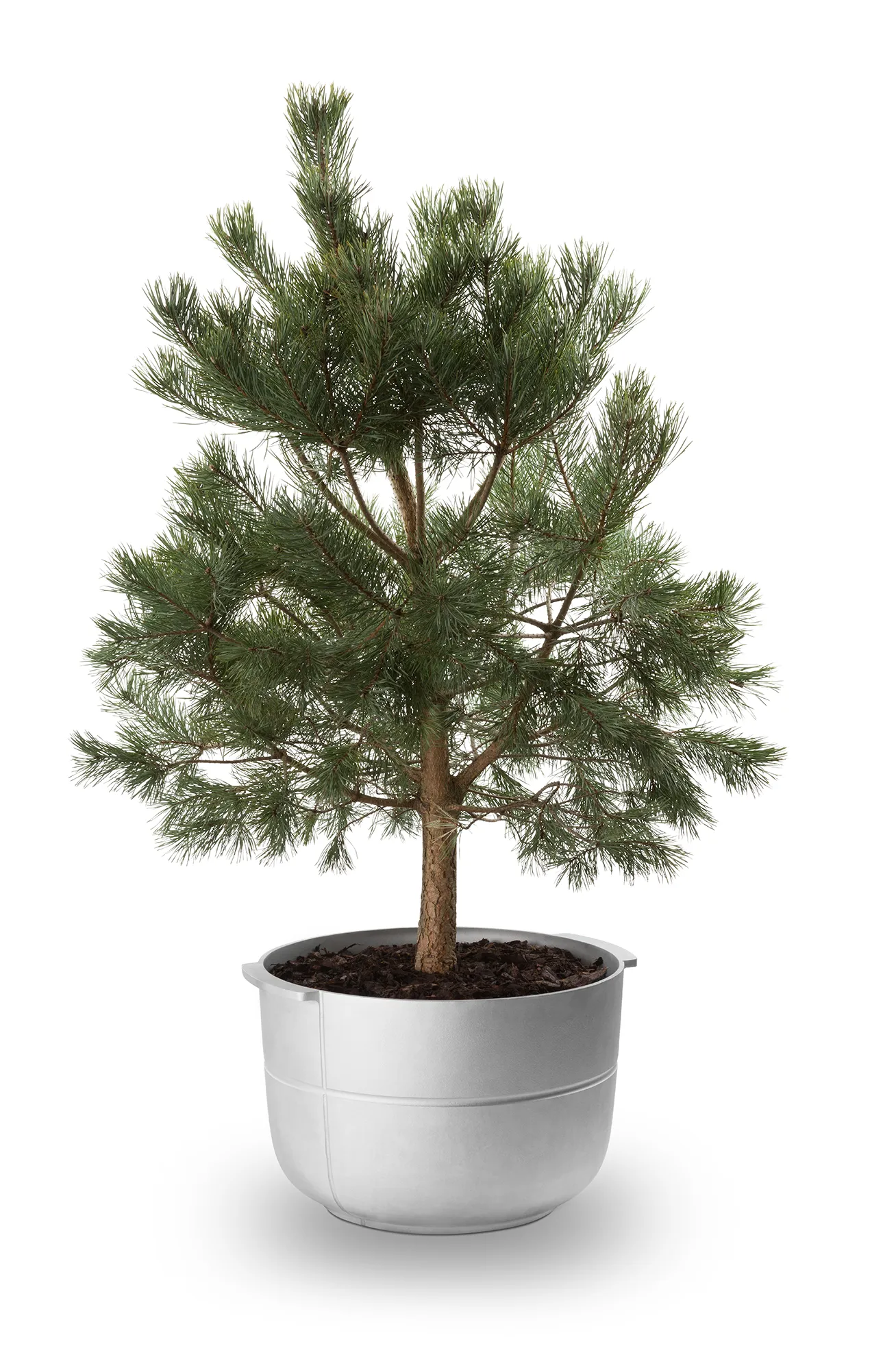 Linea bloempot nr 2 medium, Aluminium KORBO