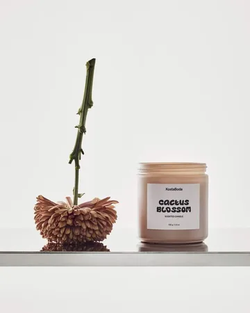 Mind geurkaars - Cactus Blossom, 330 g - Kosta Boda