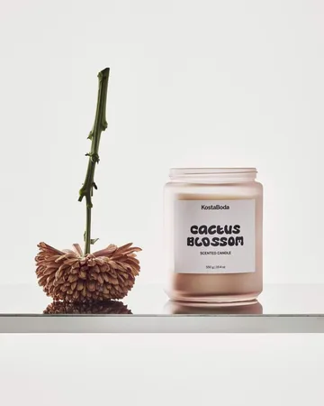 Mind geurkaars - Cactus Blossom, 550 g - Kosta Boda