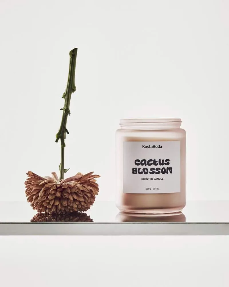 Mind geurkaars, Cactus Blossom, 550 g Kosta Boda Mind geurkaars, Cactus Blossom, 550 g Kosta Boda