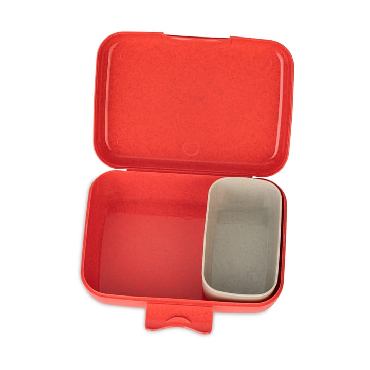Candy lunchtrommel L, Dromen Koziol