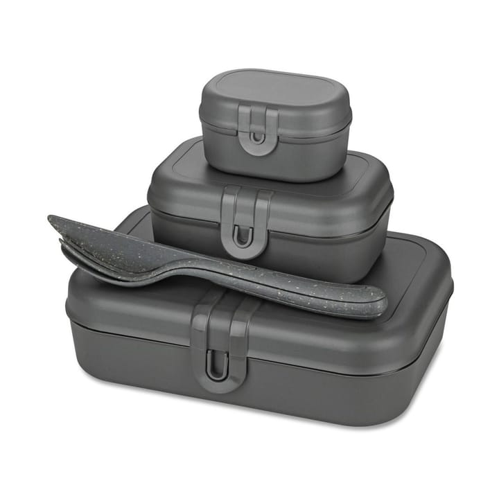 Pascal Ready Set 3x lunchtrommel met bestek - Nature ash grey - Koziol