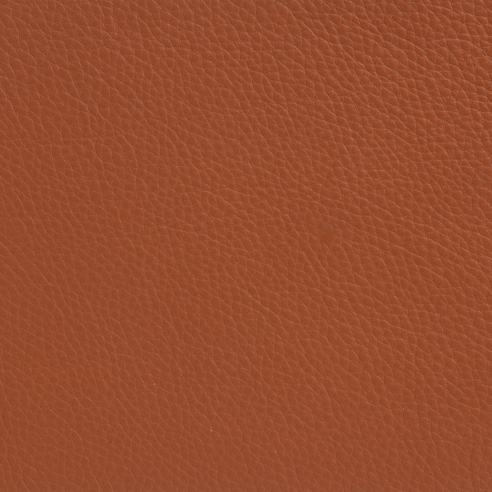 Sunny fauteuil met armleuningen, Leer Cognac - chromen onderstel met wielen Lammhults