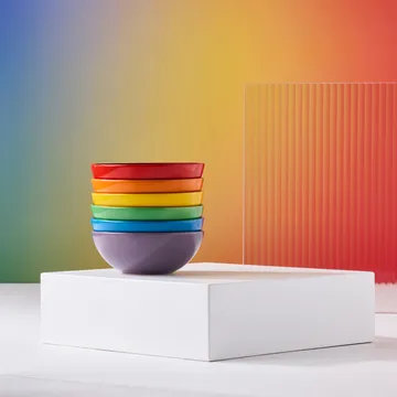 Signature steengoed diepe schaal 6-delig - Rainbow - Le Creuset