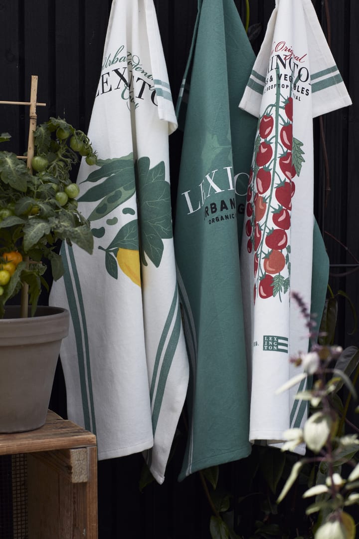 Herb keukenhanddoek 50x70 cm, Groen Lexington