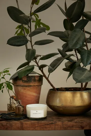 Hotel Serenity geurkaars 3 lonten - 30 uur - Lexington