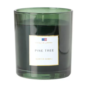 Pine Tree geurkaars - Pine Tree doftljus - Lexington