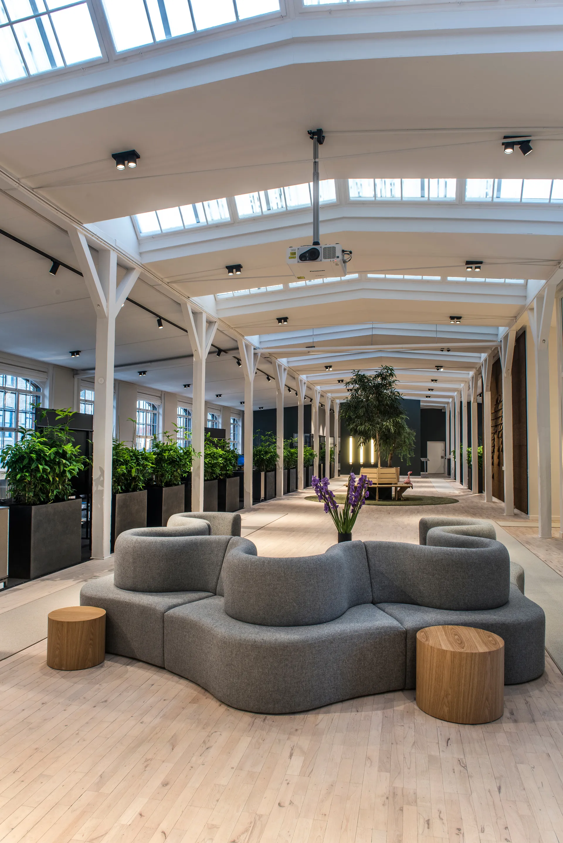 Focus 2 wand- en plafondlamp switch tune, Black Light-Point