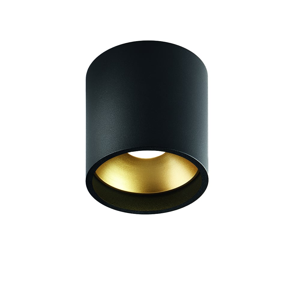 Light-Point Solo Round spotlight black/gold, 3000 kelvin