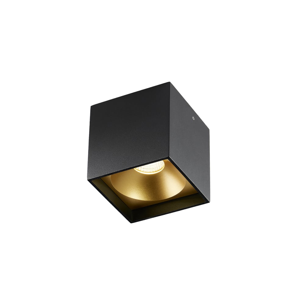 Light-Point Solo Square spotlight black/gold, 3000 kelvin