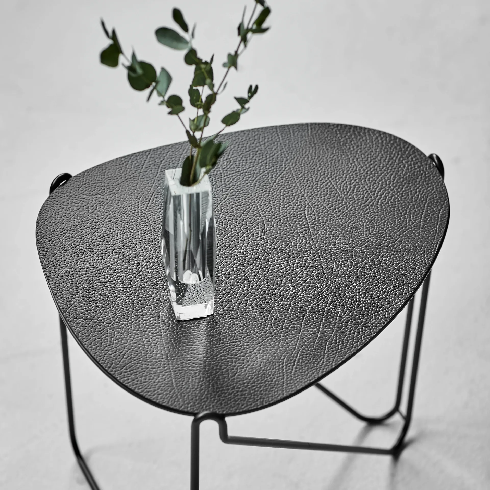 Curve Chameleon Hippo bijzettafel, Black-anthracite LIND DNA