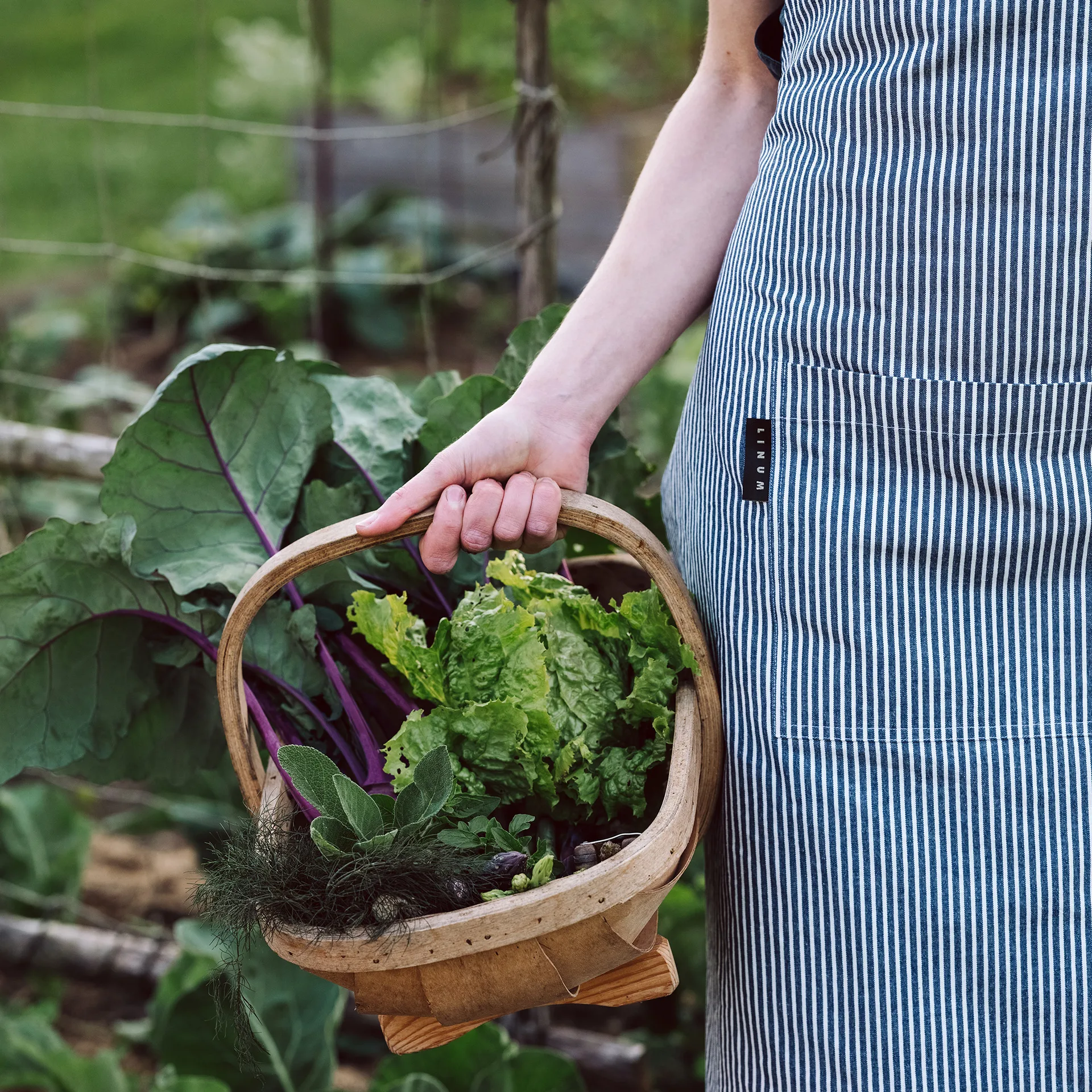 Emma schort, Indigoblauw Linum