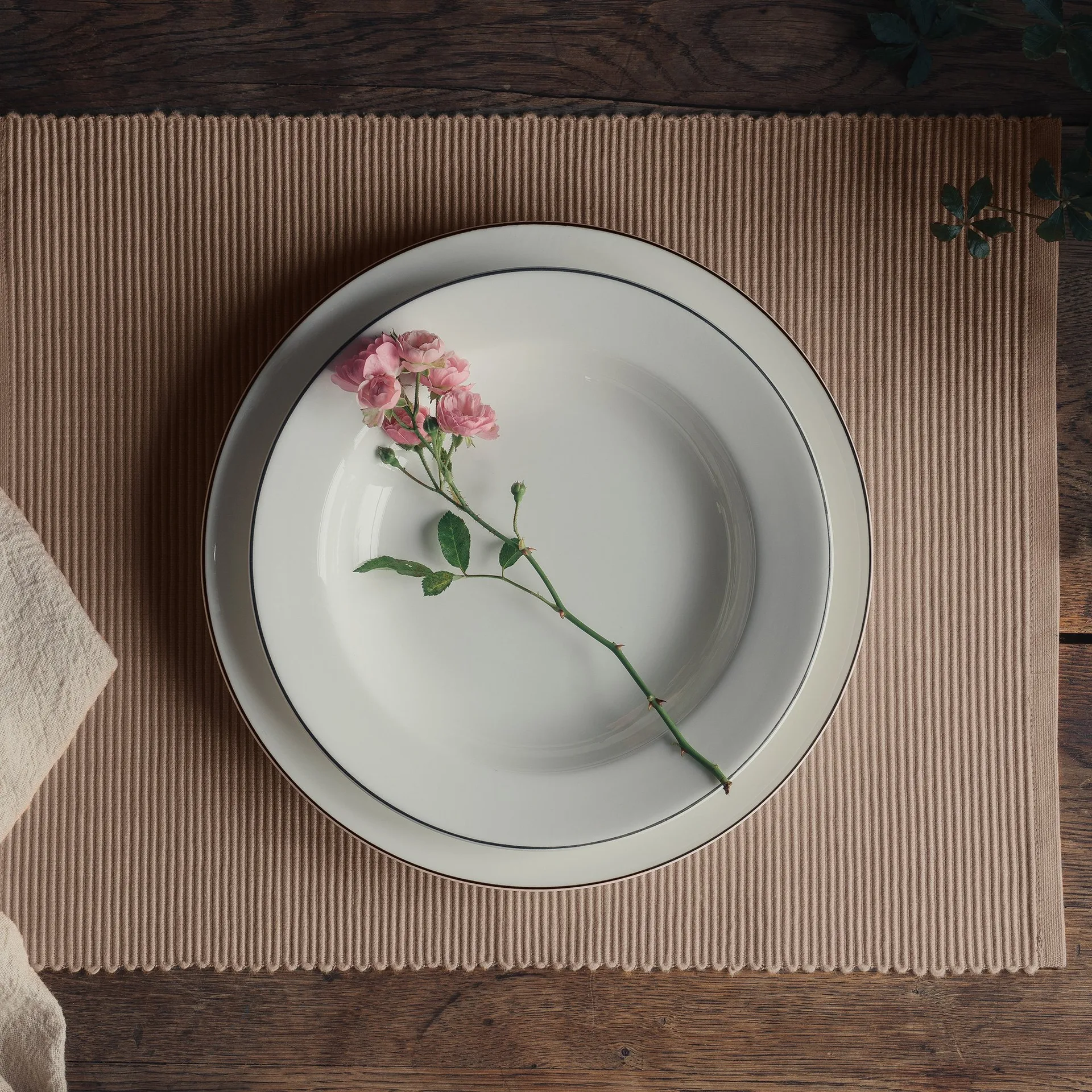 Uni placemat 35x46 cm 2-pack, Molbruin Linum