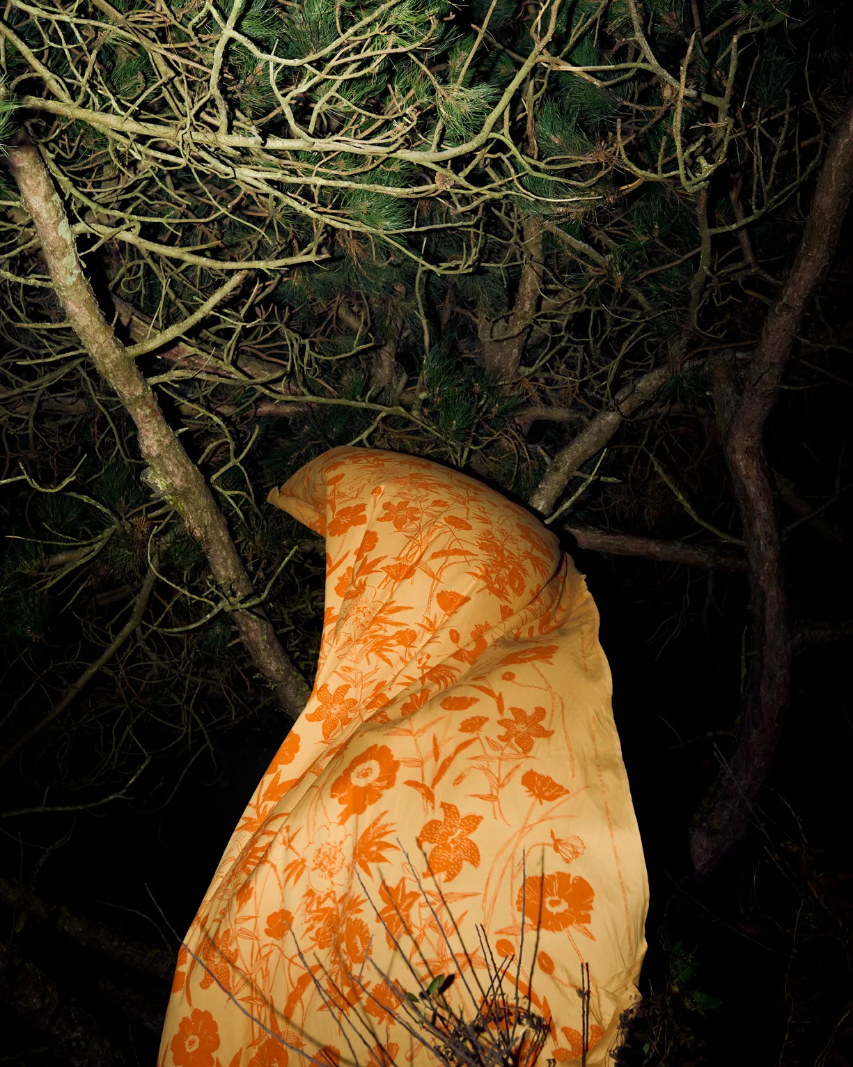 Perenna katoenen stof, Caramel-burnt orange Marimekko