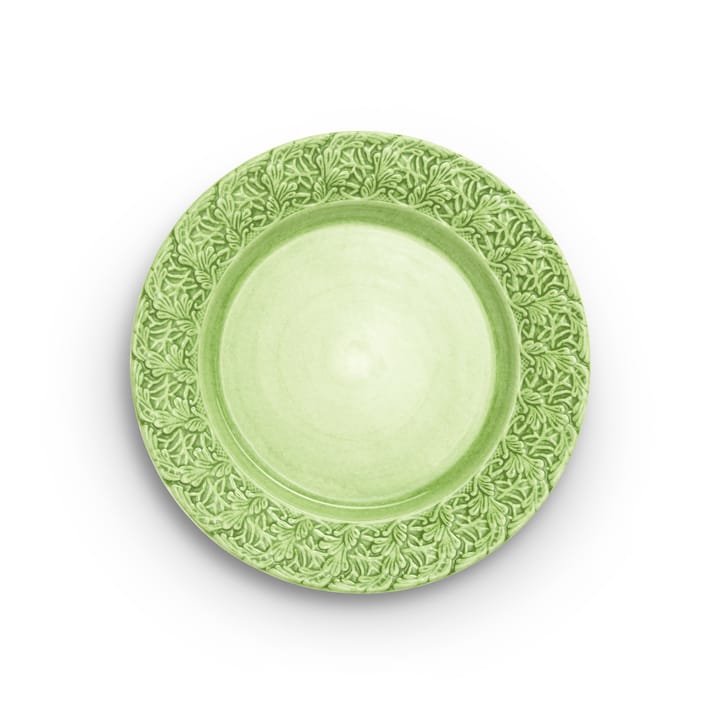 Lace bord, 25 cm - Groen - Mateus