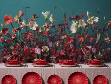 Oyster kom, 13 cm - Rood-Limited Edition - Mateus