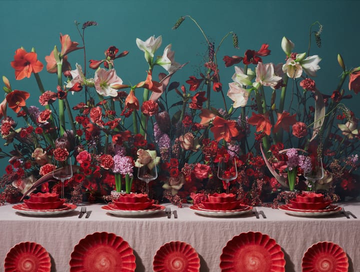 Oyster kom, 13 cm - Rood-Limited Edition - Mateus