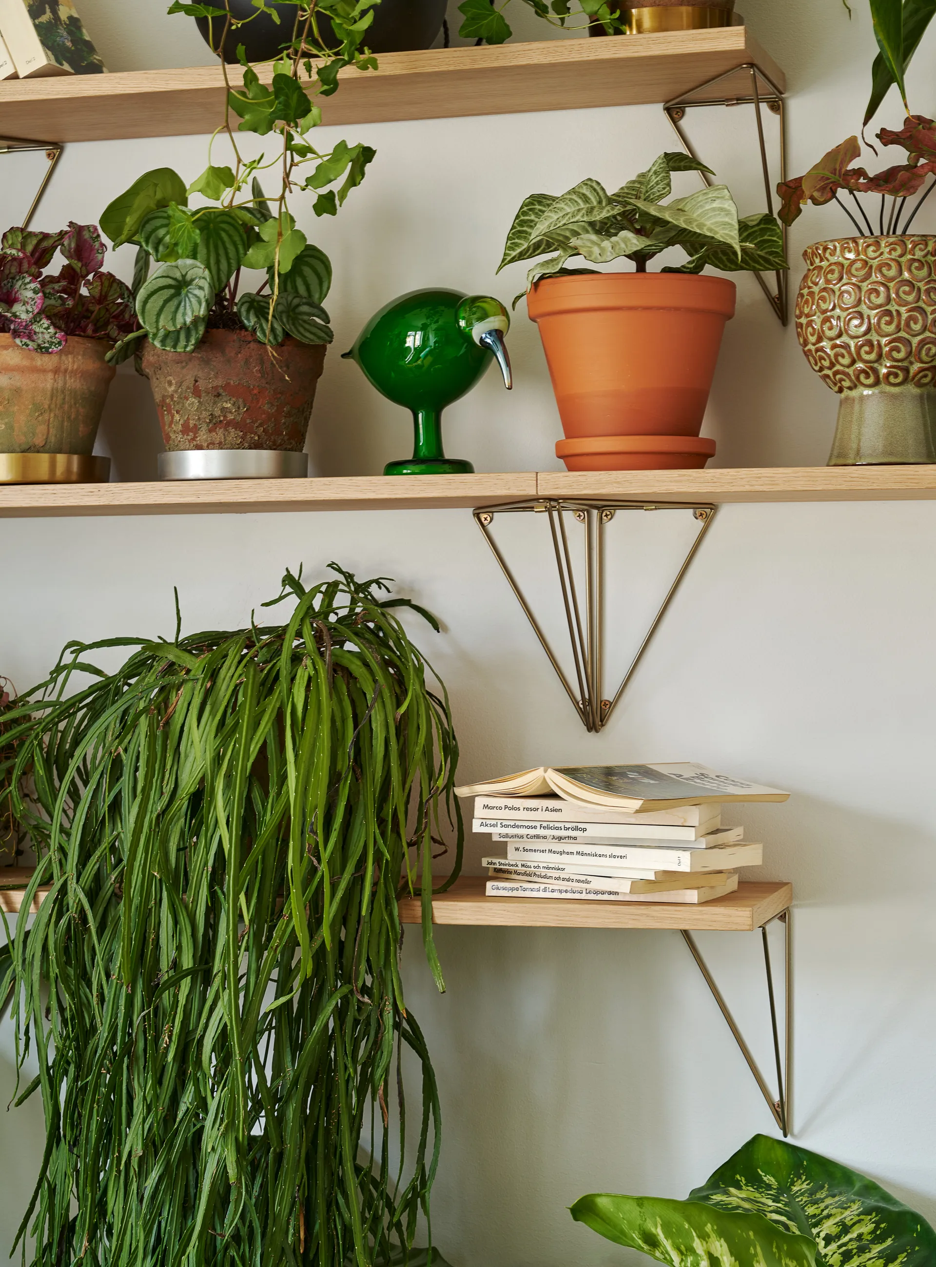 Pythagoras plank, eikenhout Maze