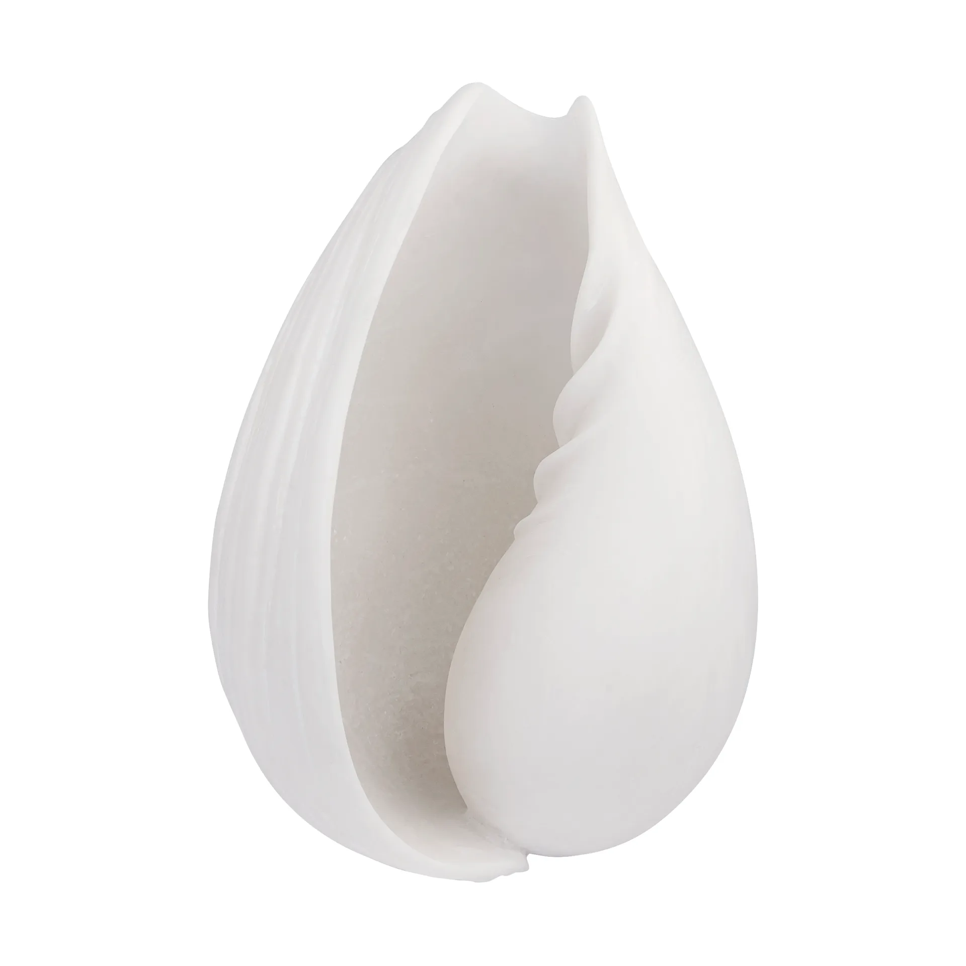 Conch decoratieschelp, Small Mette Ditmer