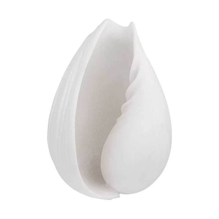 Conch decoratieschelp, Small Mette Ditmer