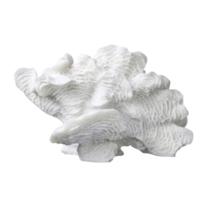 Coral fan - White - Mette Ditmer