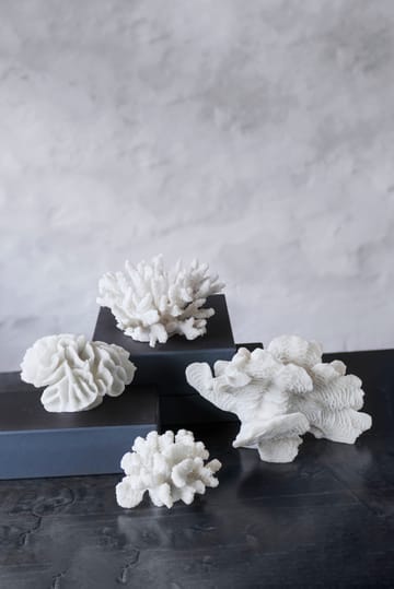 Coral fan - White - Mette Ditmer