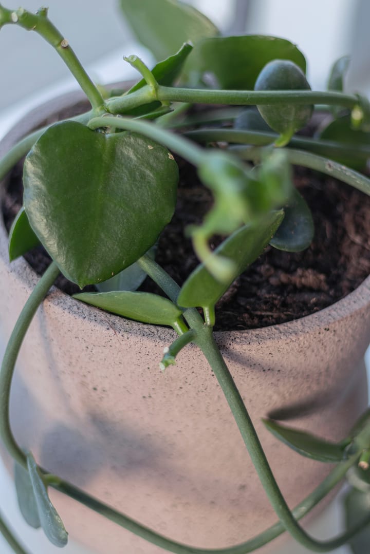 Stone bloempot Ø17 cm, Blush Mette Ditmer