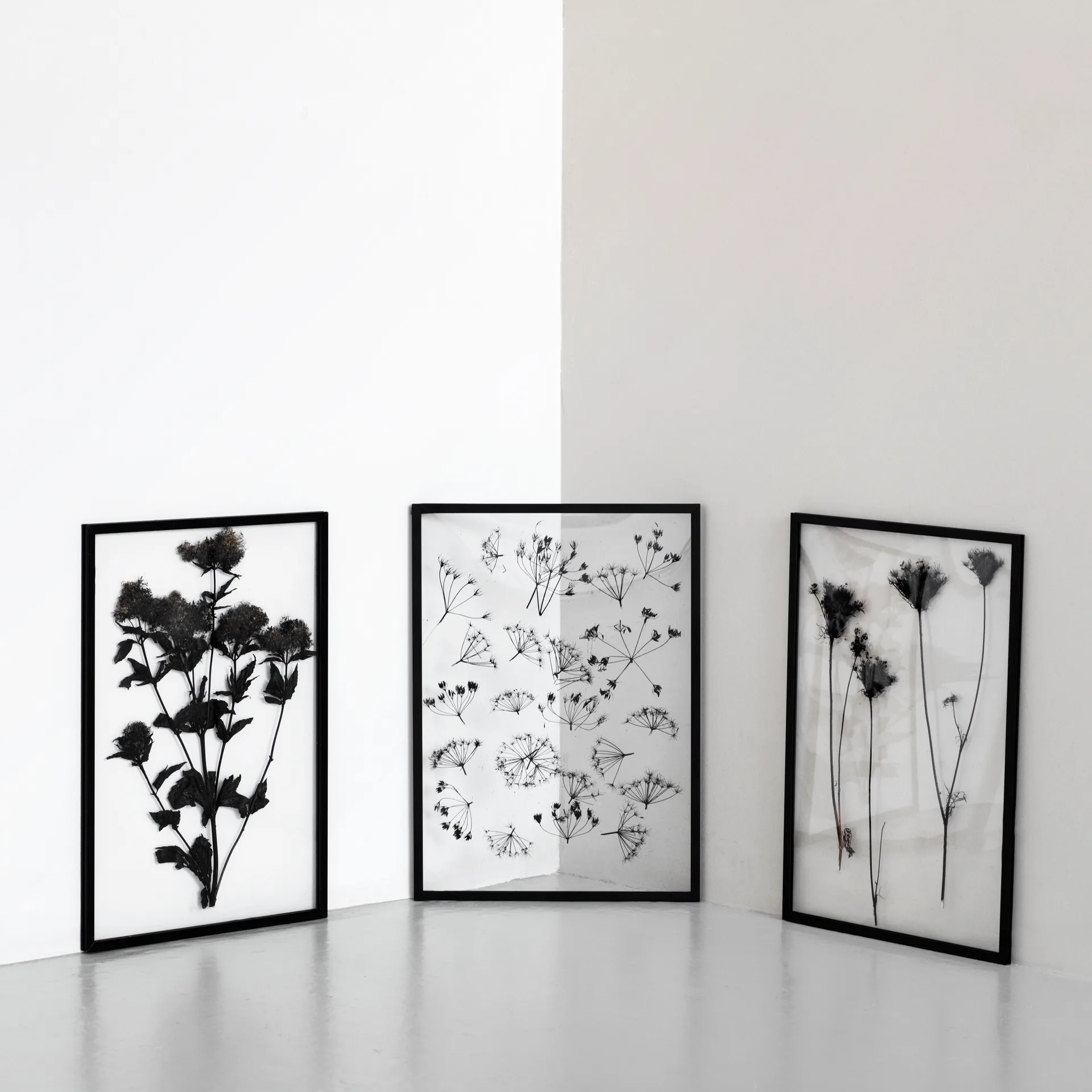 Moebe Frame A2, Zwart MOEBE