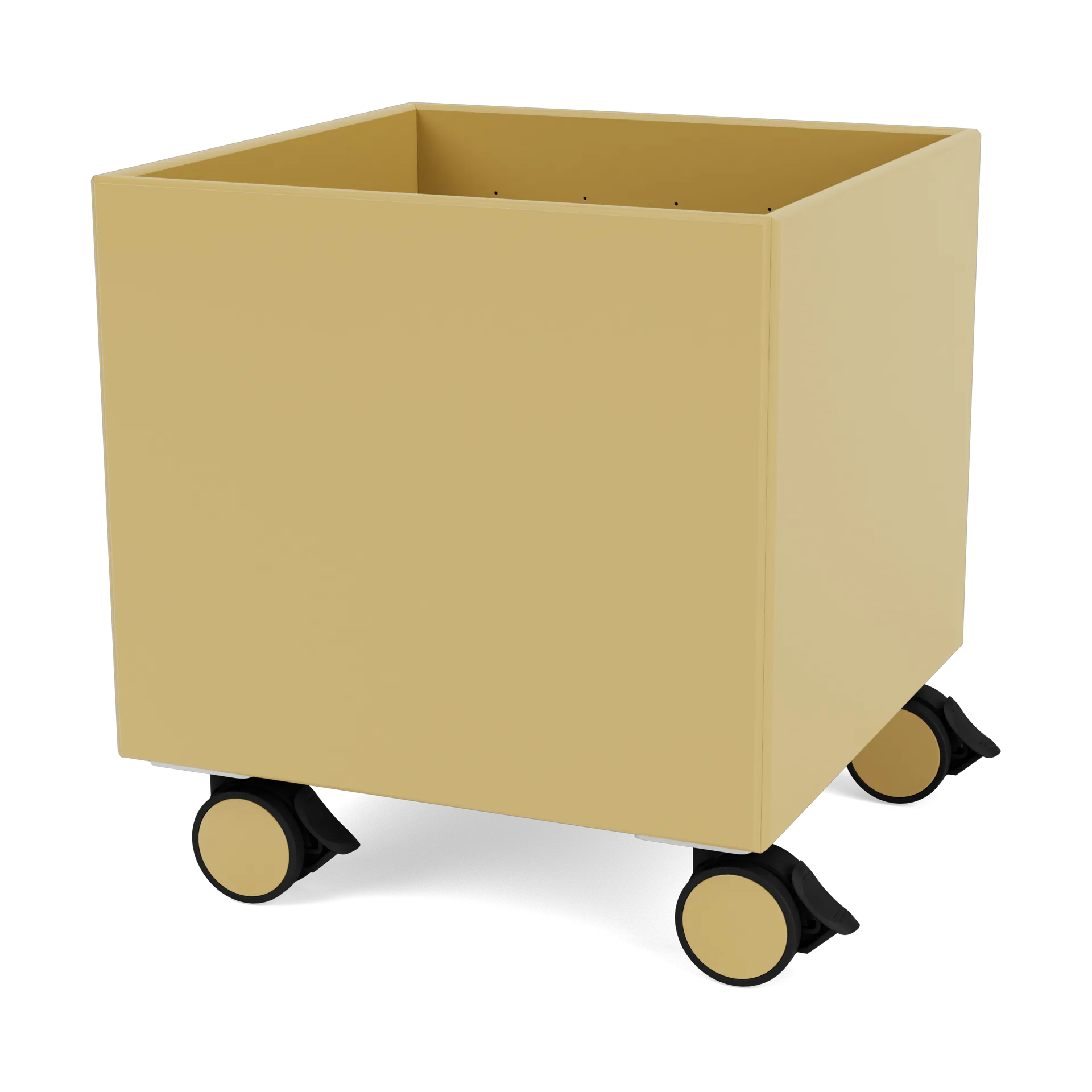 Colour Box I – S6161, Cumin Montana