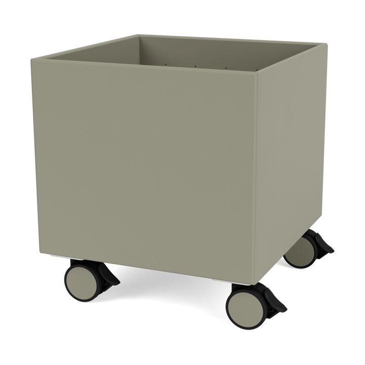 Colour Box I – S6161 - Fennel - Montana