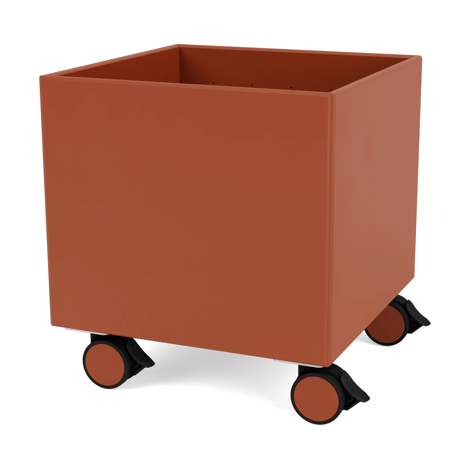 Colour Box I – S6161, Hokkaido Montana