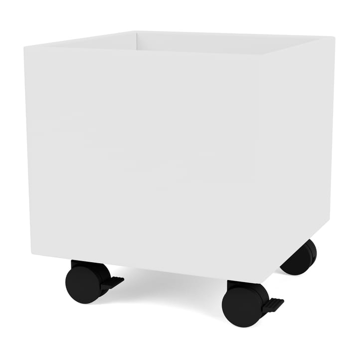Colour Box I – S6161 - New white - Montana