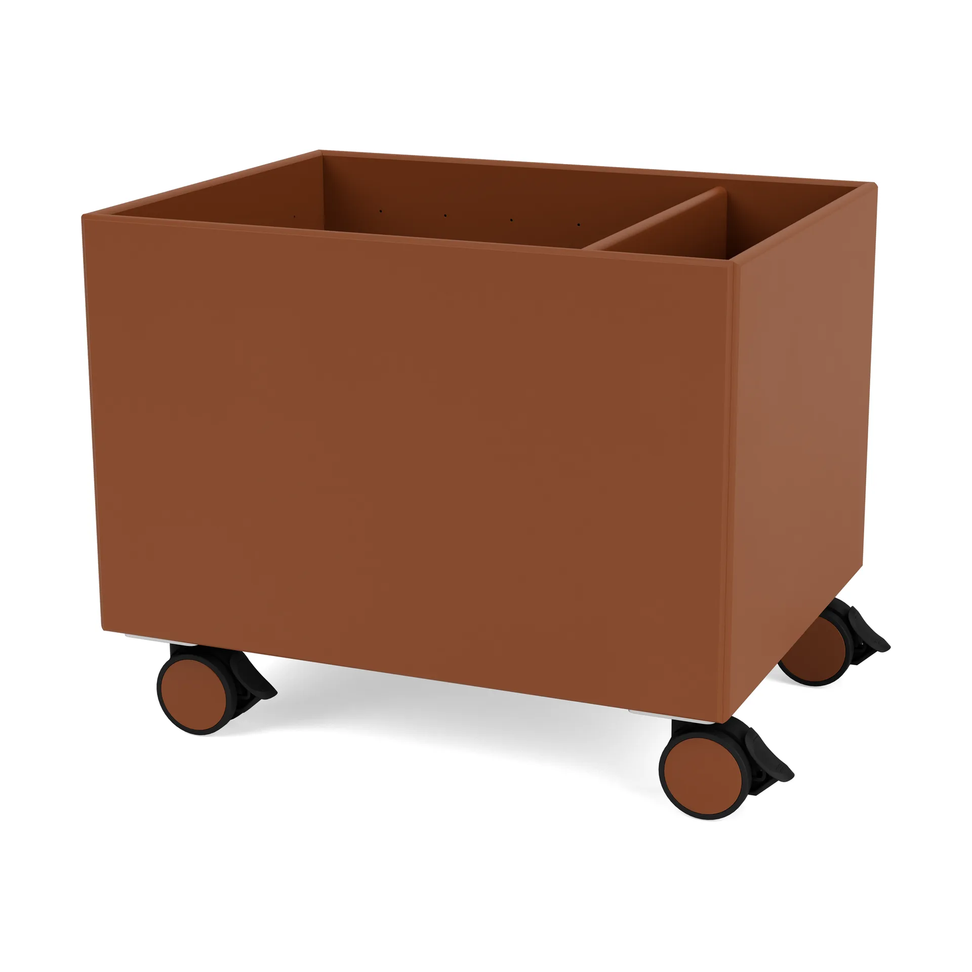 Colour Box II, Hazelnut Montana