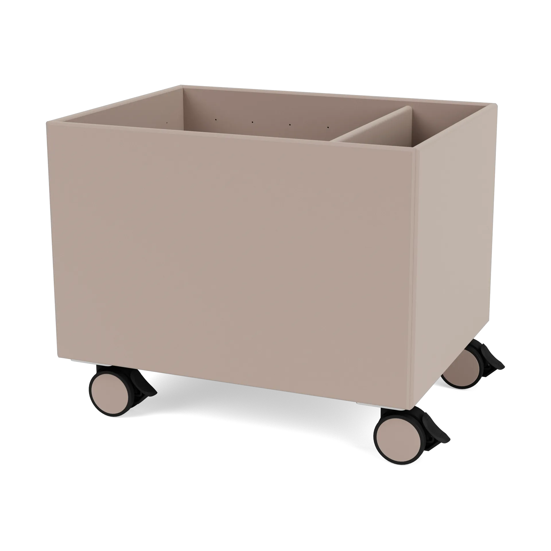 Colour Box II, Mushroom Montana