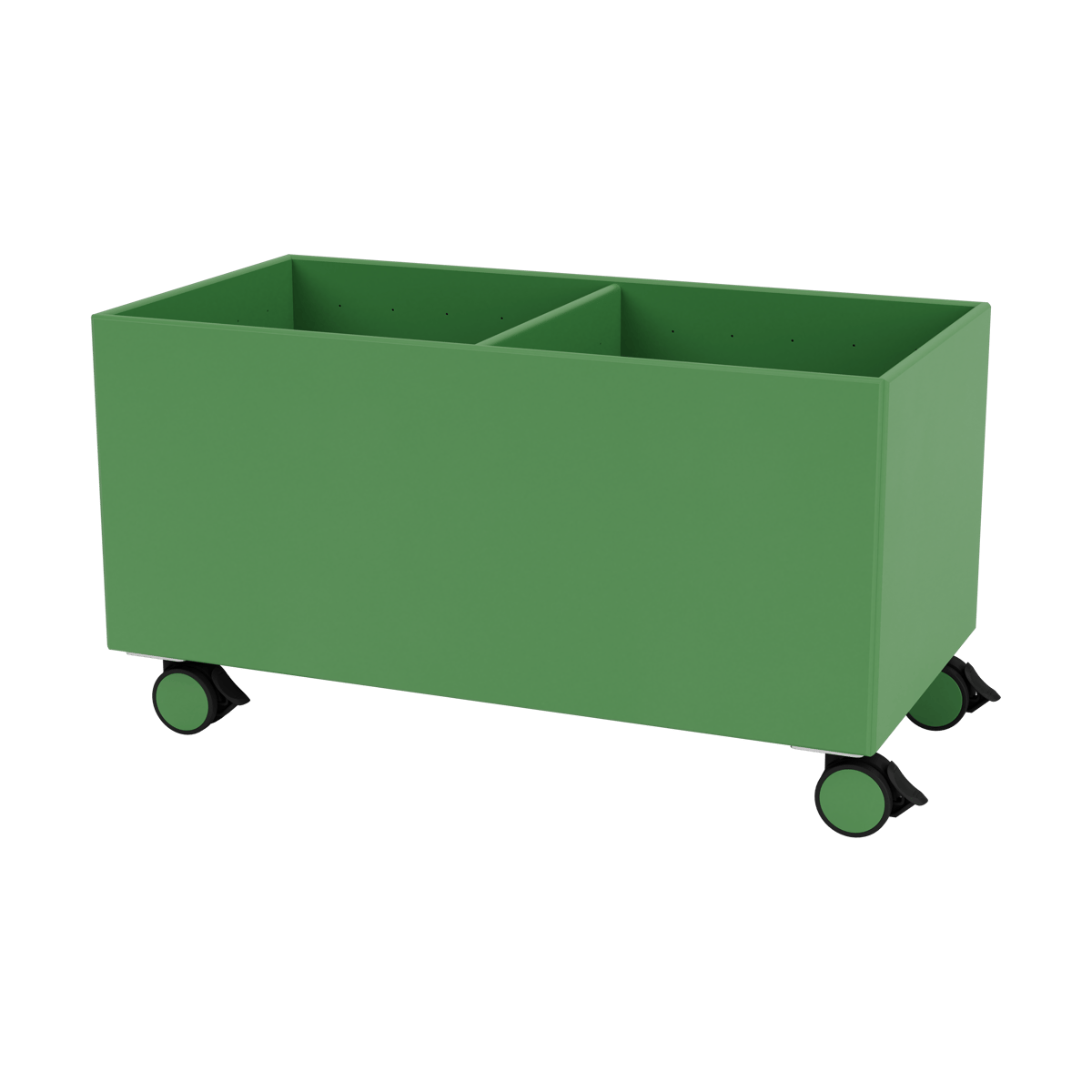 Montana Colour Box III Parsley | Scandinavisch Interieur | Opbergmanden | Groen