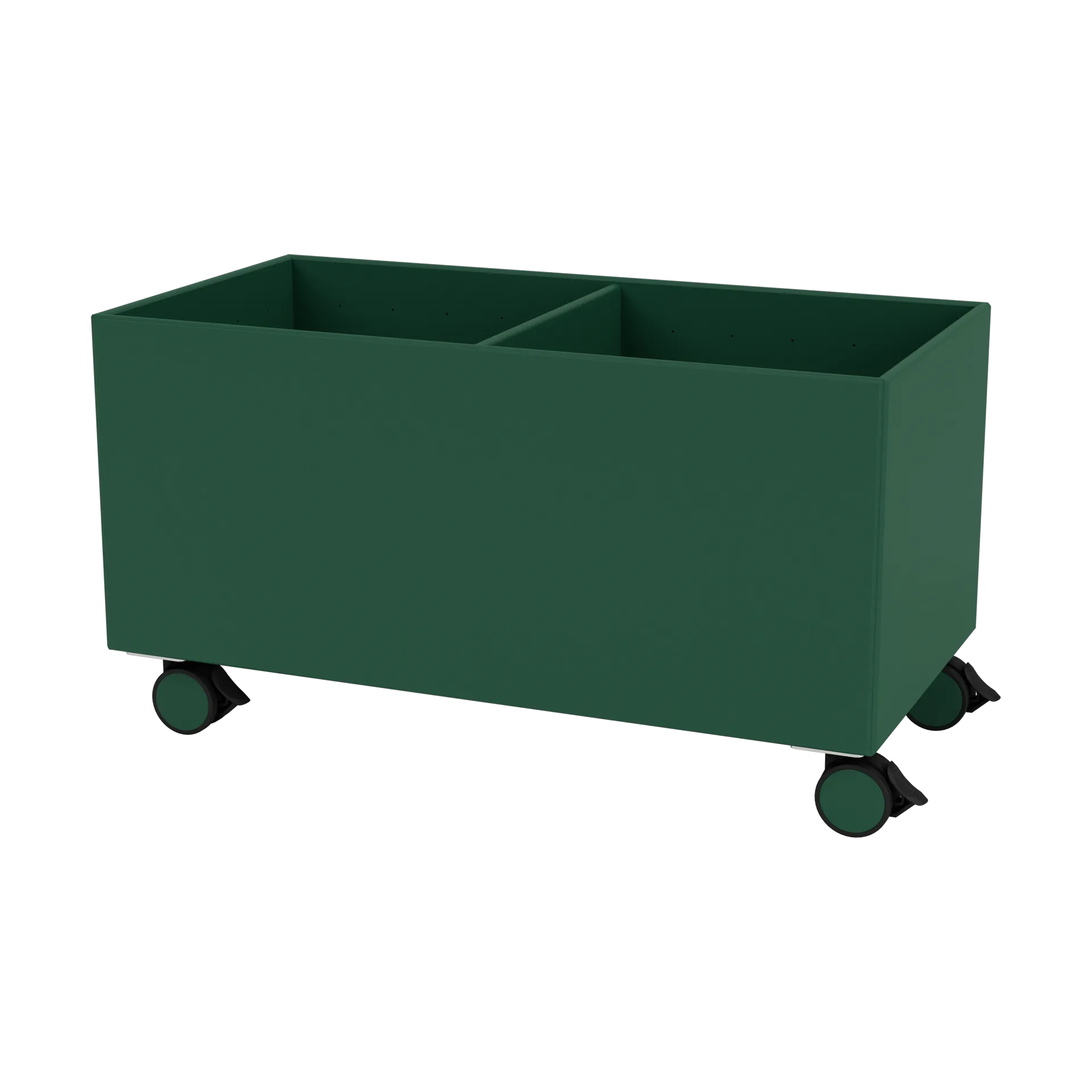 Colour Box III, Pine Montana