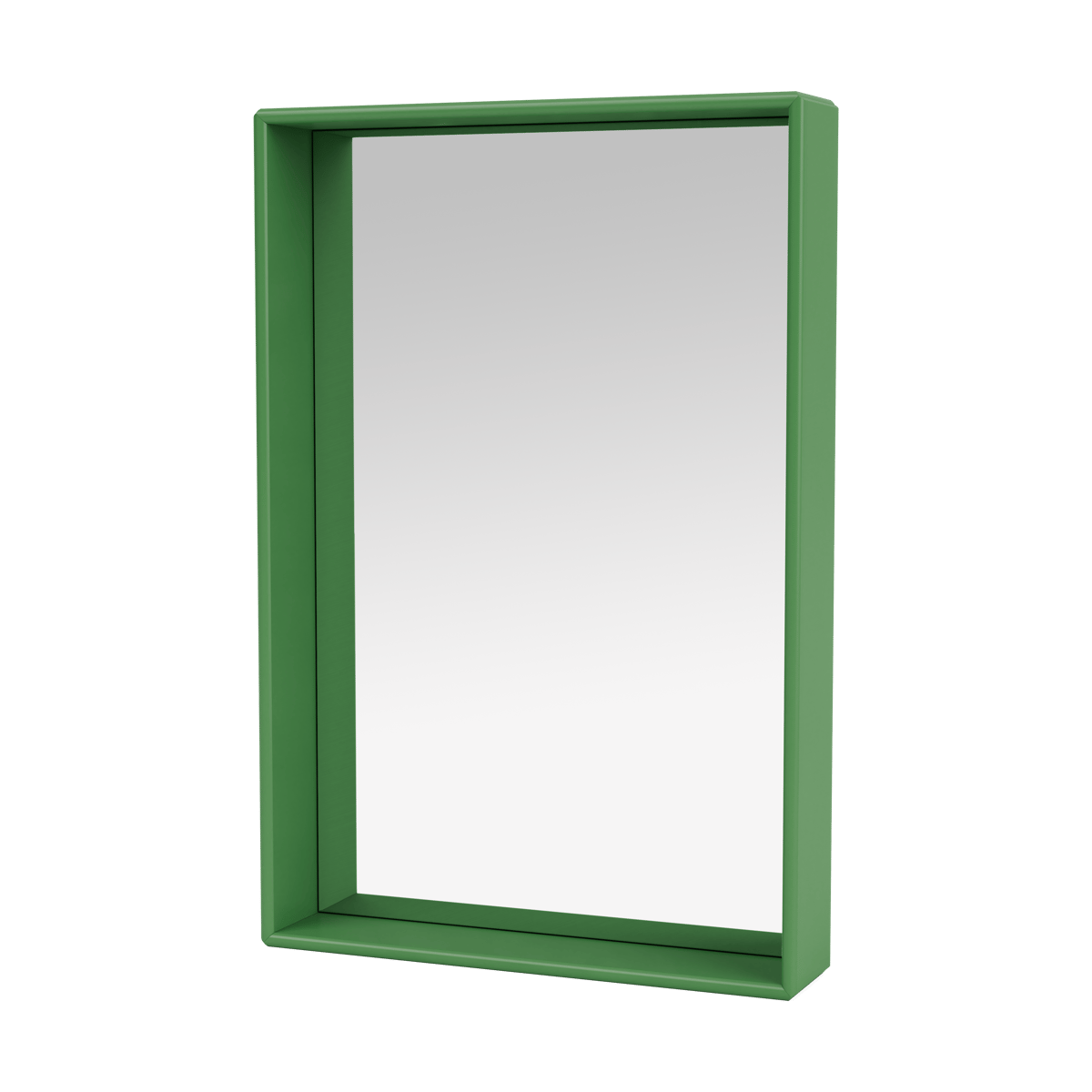 Montana Shelfie colour frame spiegel 46,8x69,6 cm Parsley