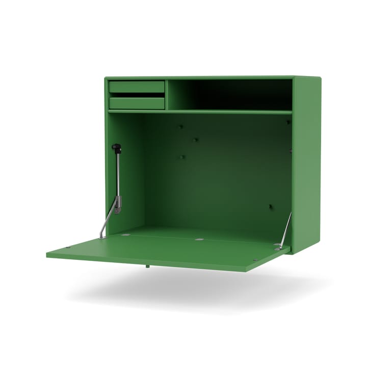 STUDIO wandbureau - parsley 152 - Montana