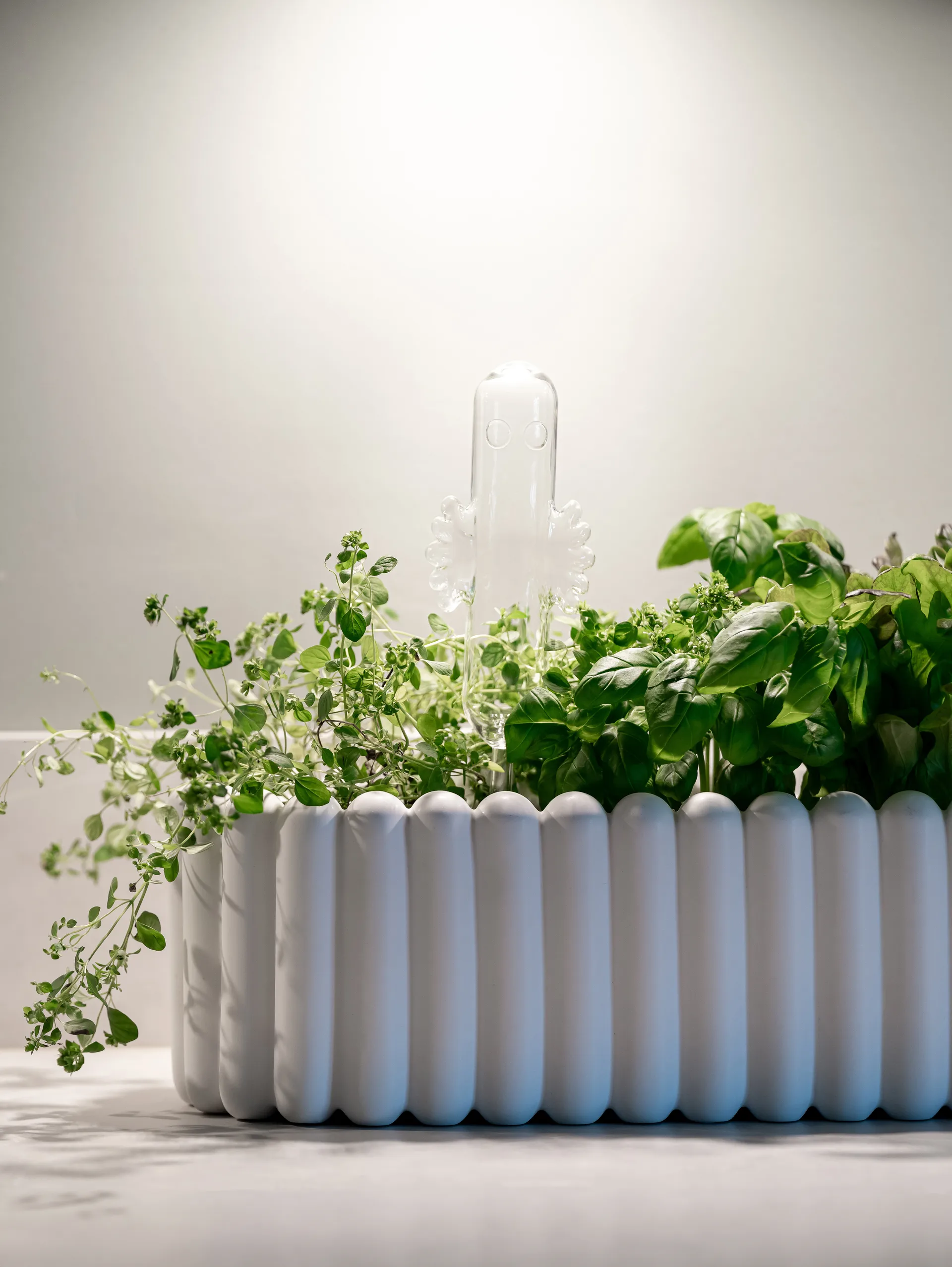 Hemul waterbol, Transparant Muurla