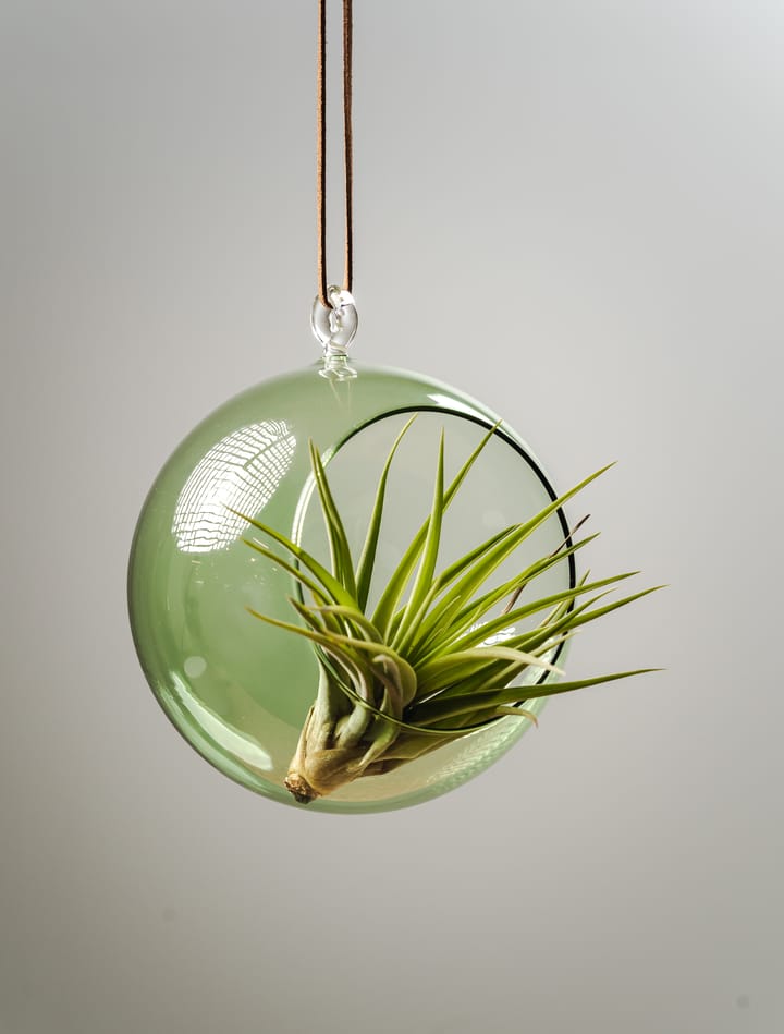 Muurla decoratiebol Ø12 cm, Groen Muurla
