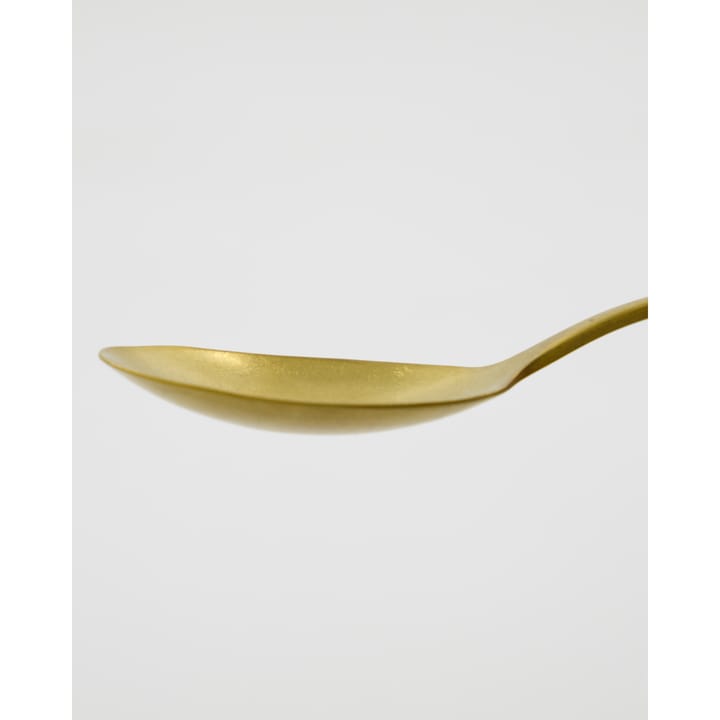 Daily serveerlepel 2-pack, Gouden afwerking Nicolas Vahé