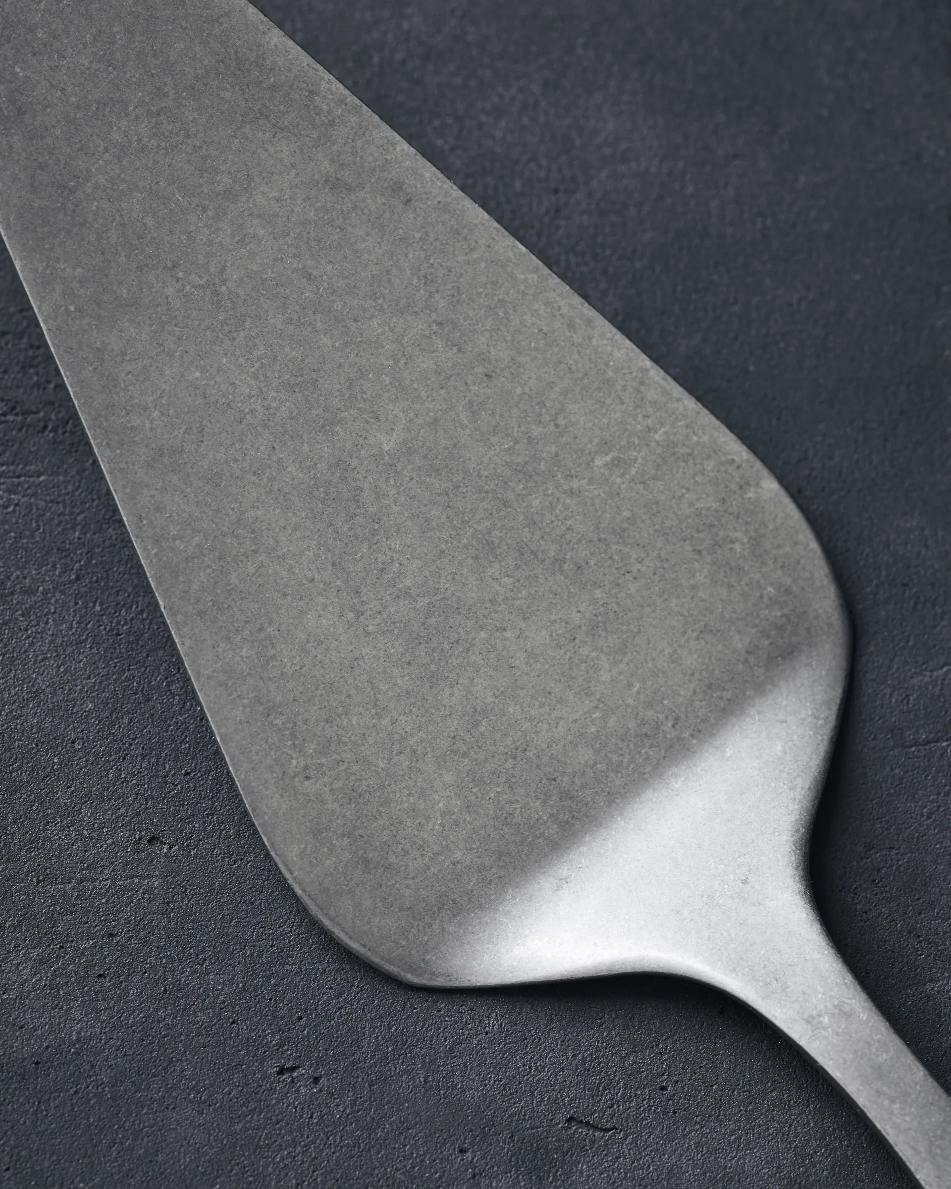 Nicolas Vahé Daily taartschep roestvrij staal, 25 cm Nicolas Vahé