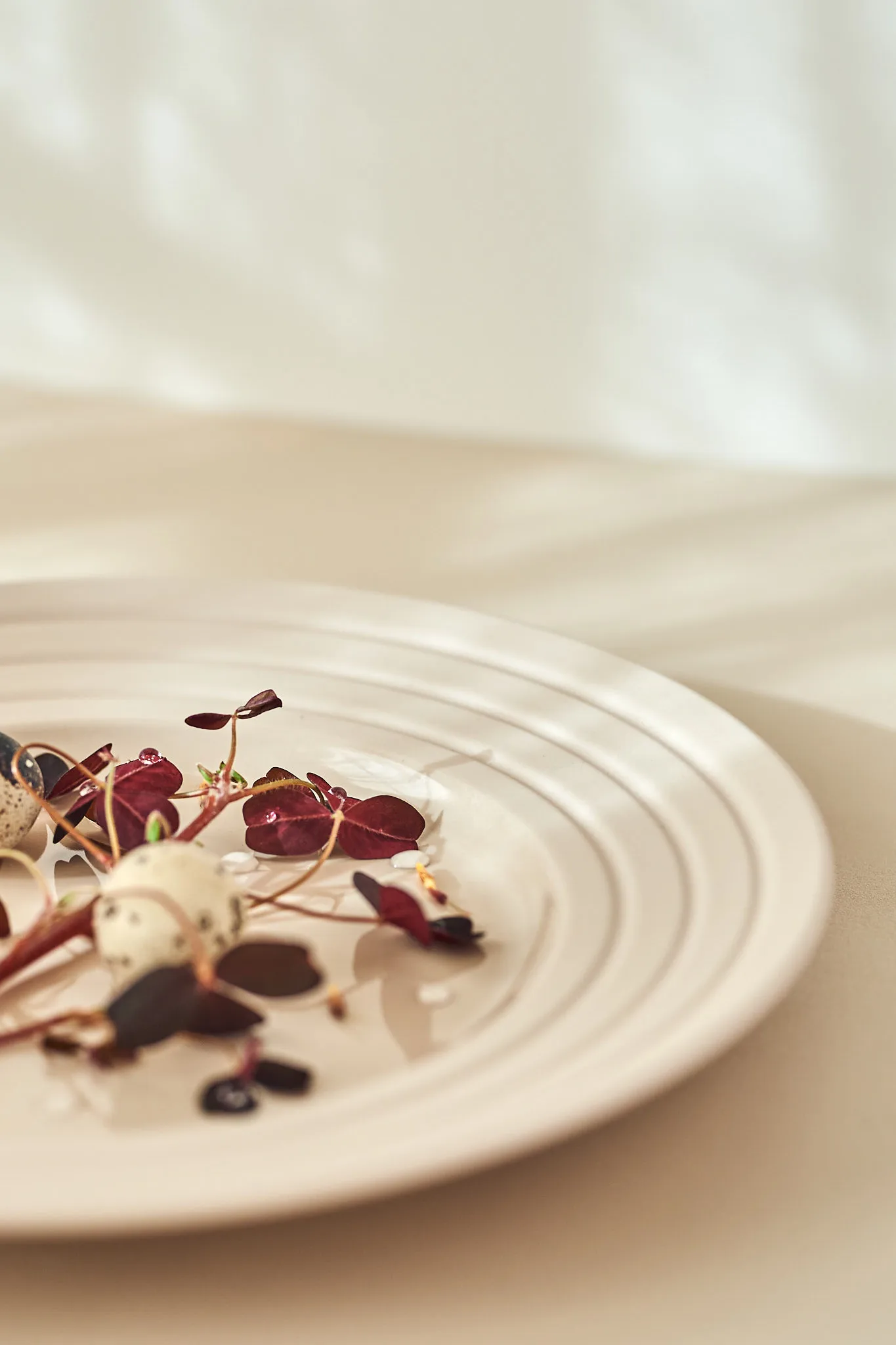 Lines bord Ø 27 cm 6-pack, beige NJRD