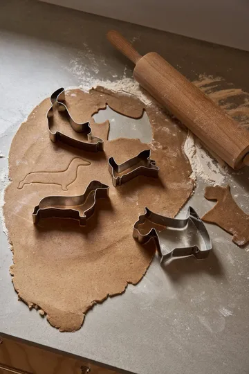 BAKE koekjesuitsteker - Huisdieren, 4-delig - Nordwik