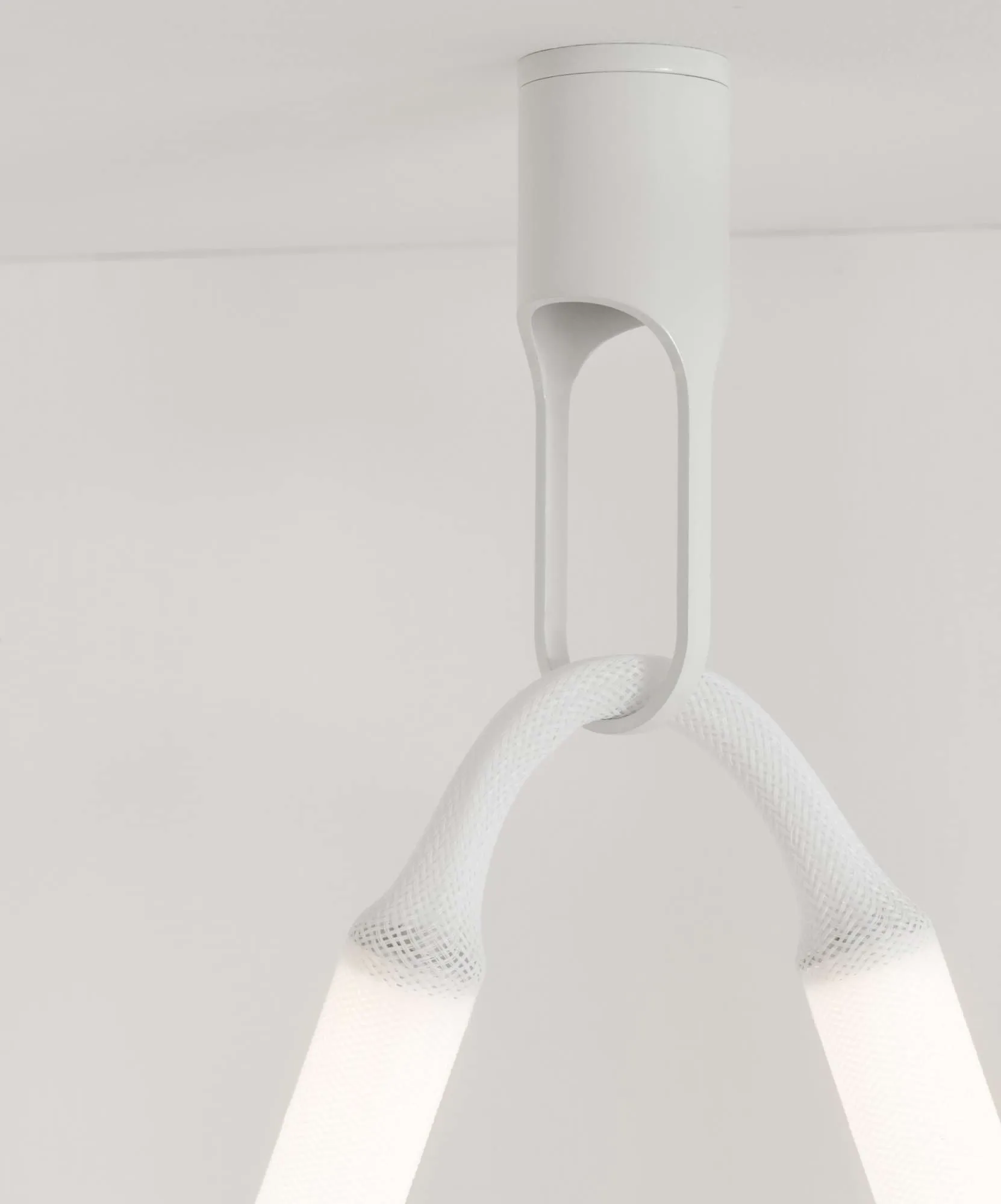 Reb takkrok, Wit Normann Copenhagen